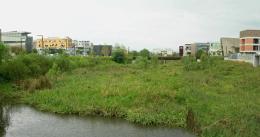 Urban Wetland